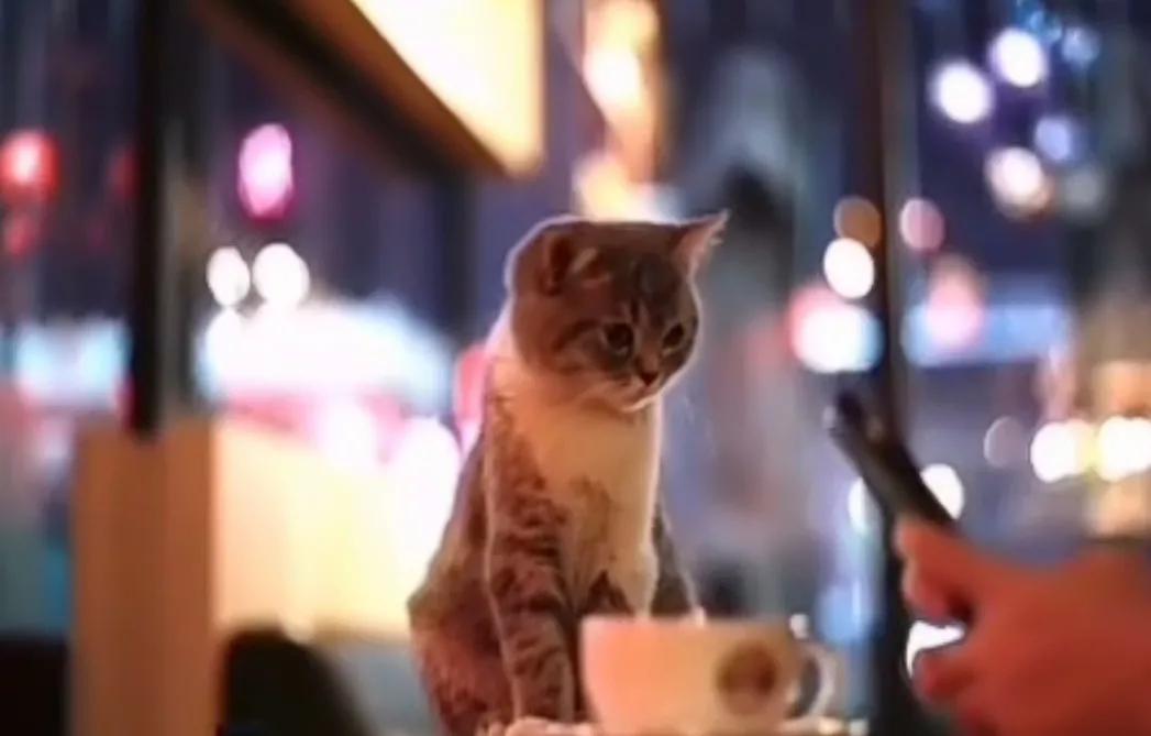 三八女神节送女朋友什么礼物,女神节送妈妈礼物简单手工