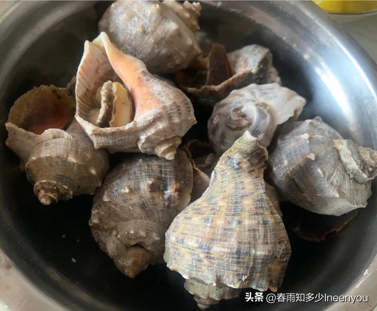 生活本就是不停的奔波,元旦将至忙忙碌碌