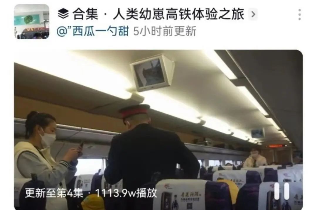 幼崽坐高铁,如何带人类幼崽优雅的坐高铁