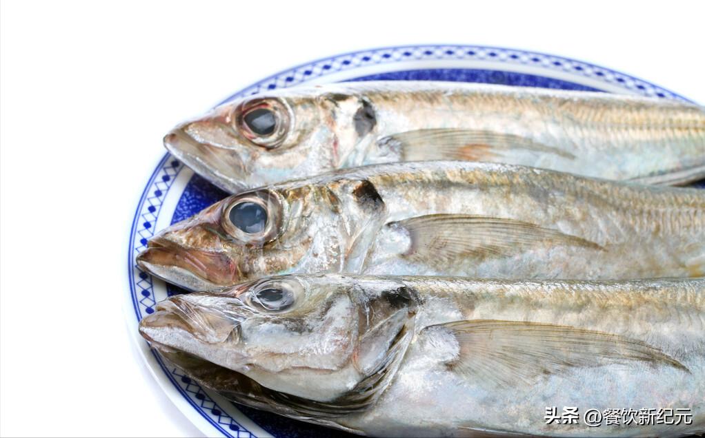 买鱼时这四种鱼切记不要买,十种野生鱼不能养殖