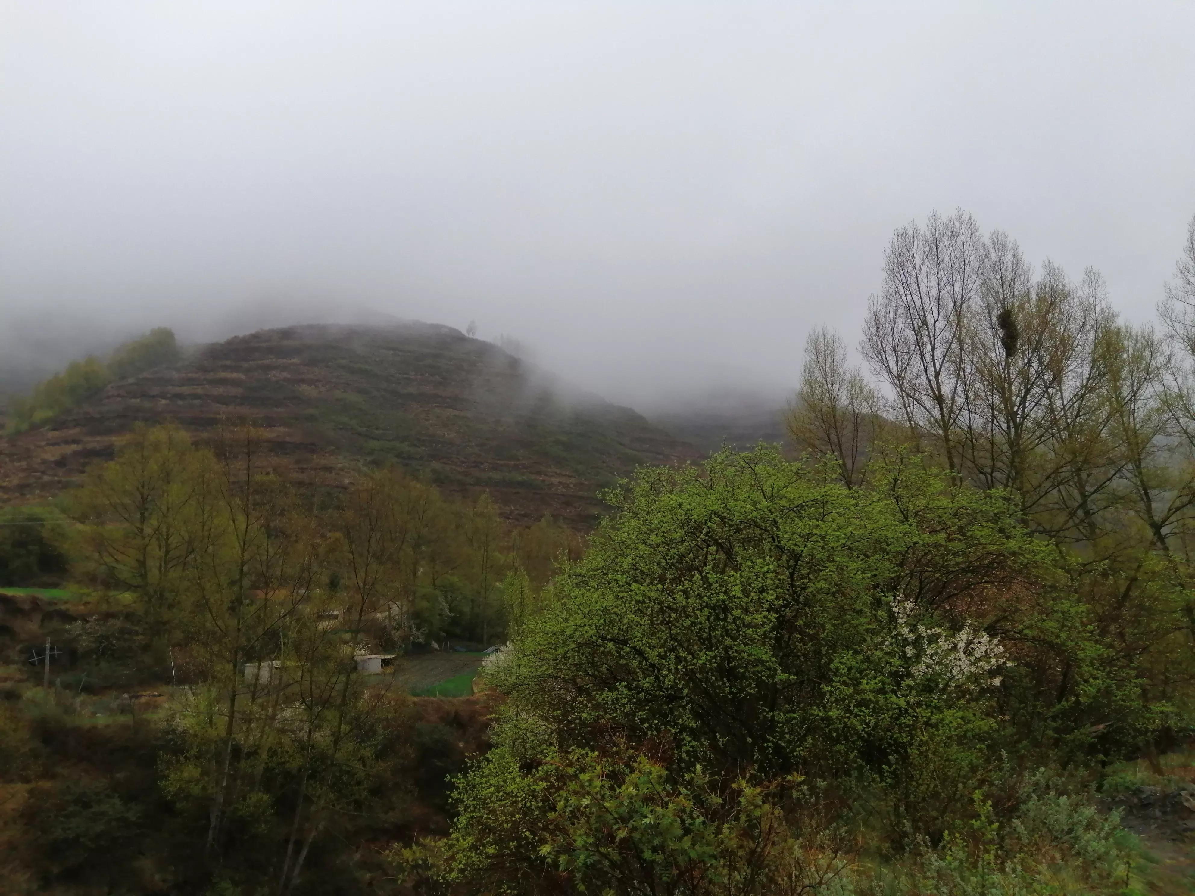 《柳梢青·谴诗坛乱象（《词林正韵》正体》注解⑵