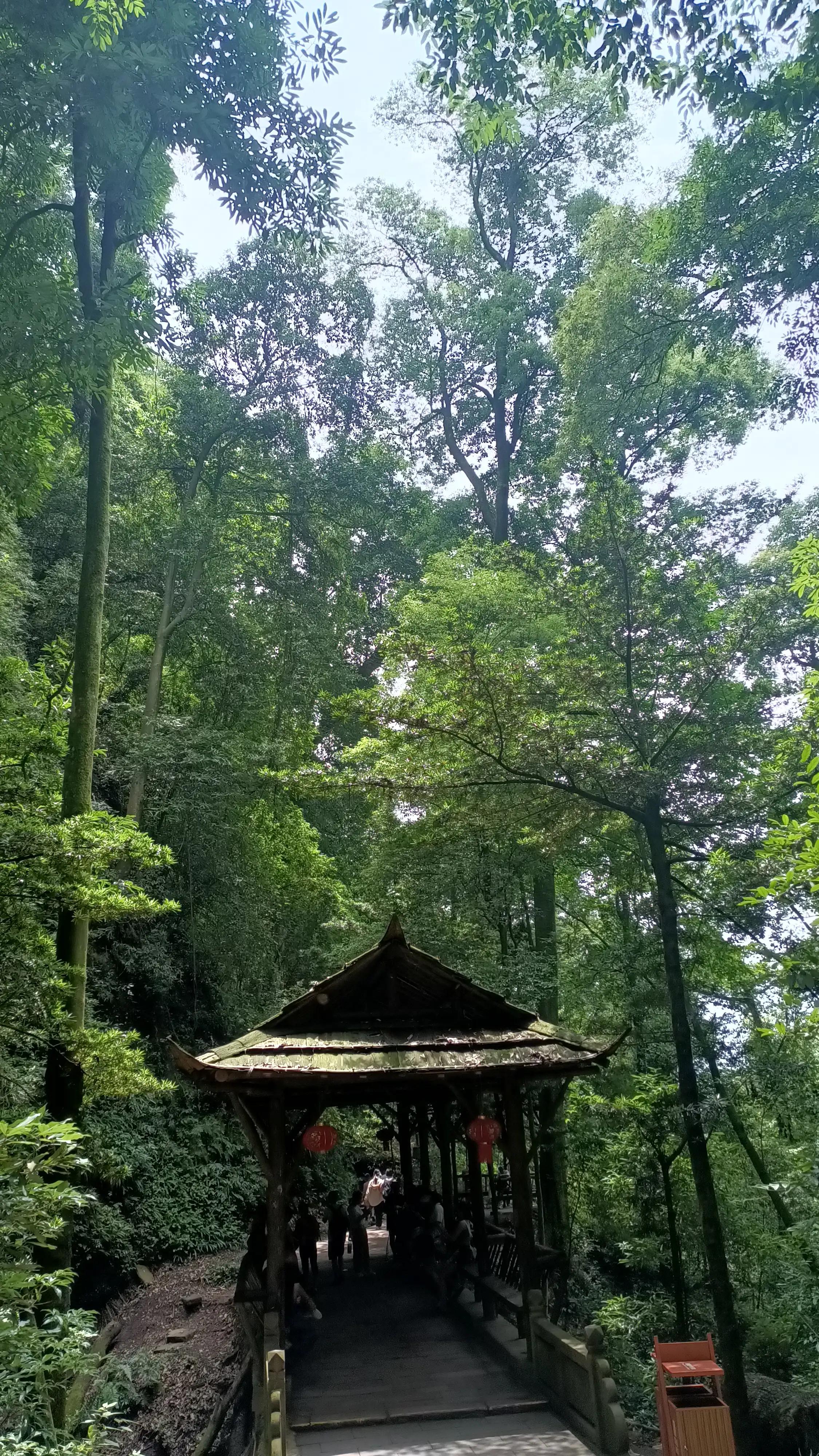 青城山一日游大概多少钱,青城山一日游民宿