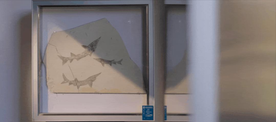 浙大博物馆十大镇馆之宝,浙大考古与艺术博物馆