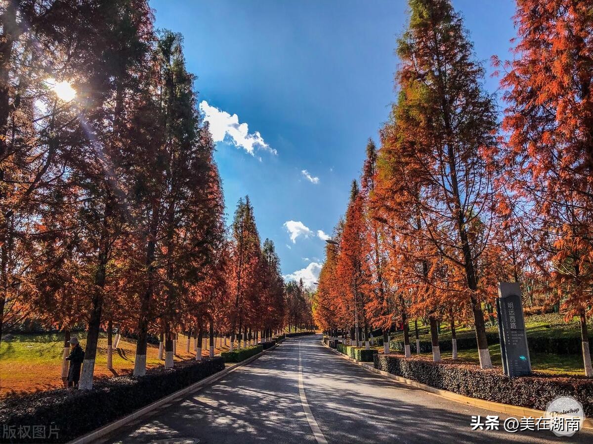 2023年高考录取分数线一分一段,2023年高考艺术类分数线组成