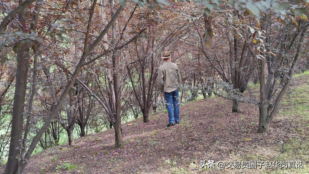 我的交易模式,我的交易精髓