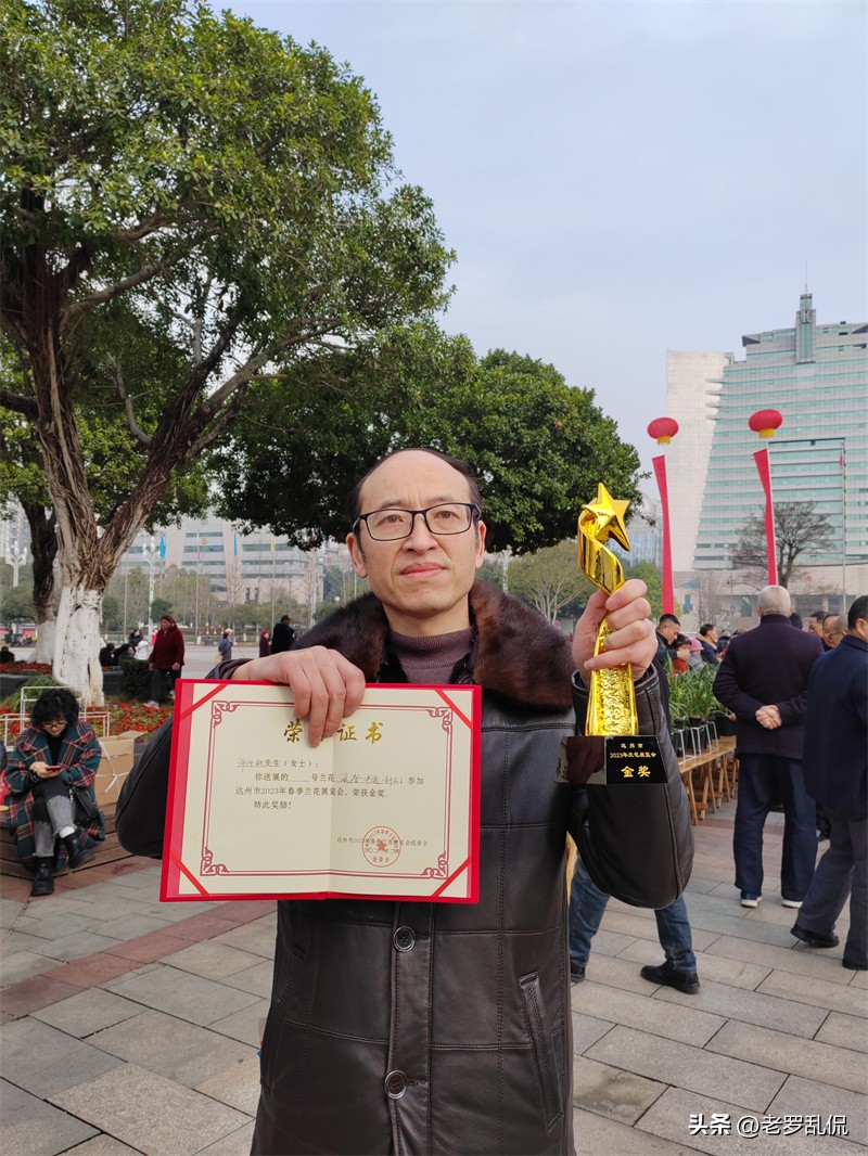 兰花齐放争奇斗艳太美了,众多兰花盛开