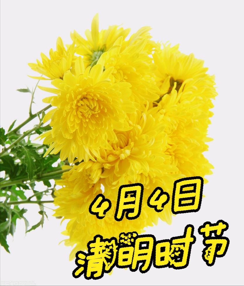 清明节雨纷纷举国上下寄哀思,清明节伤感词思念天堂的父母