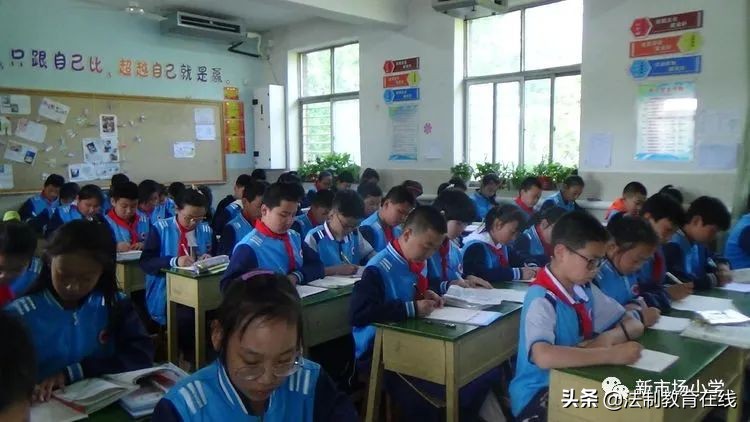 立足课堂夯实双减—保定市新市场小学“课后服务”进行时
