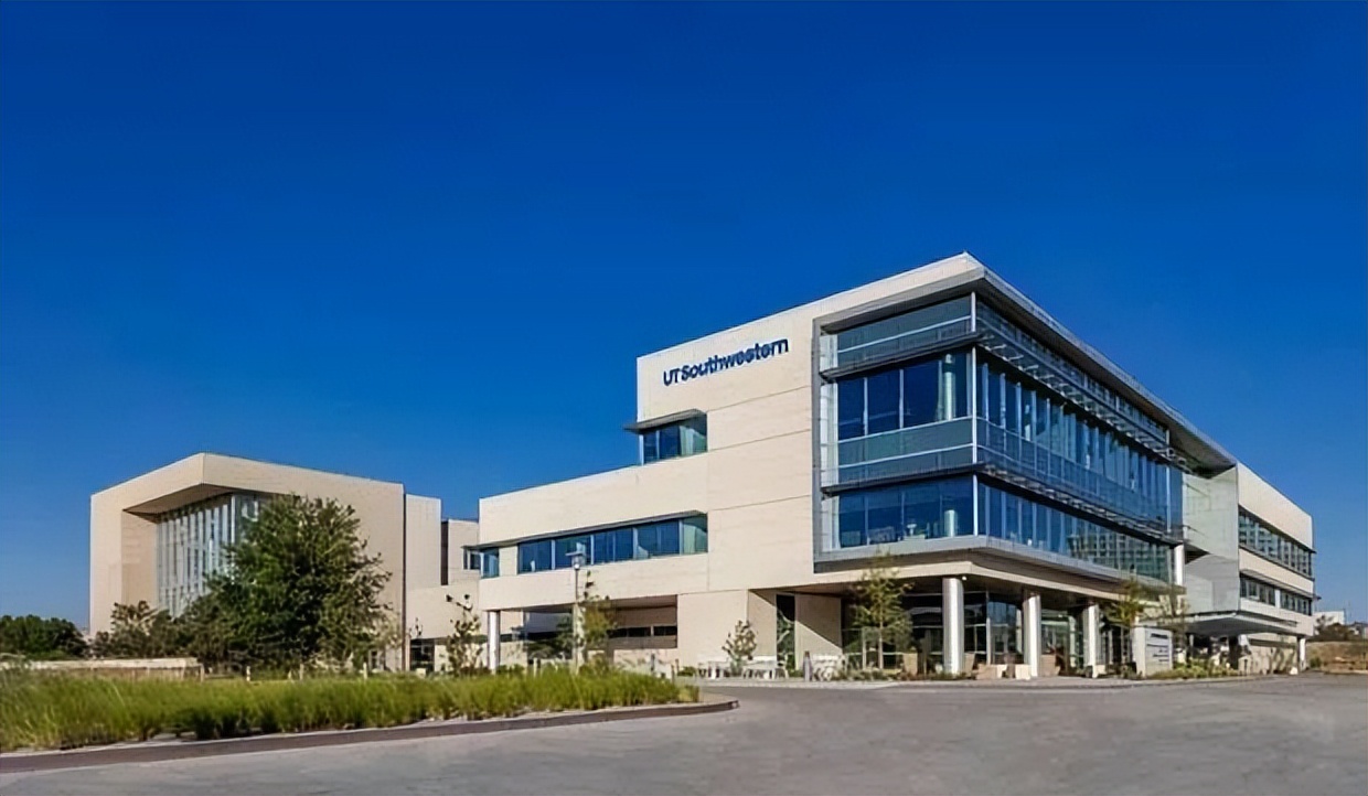 幽灵男孩马丁ted,幽灵男孩马丁的护工