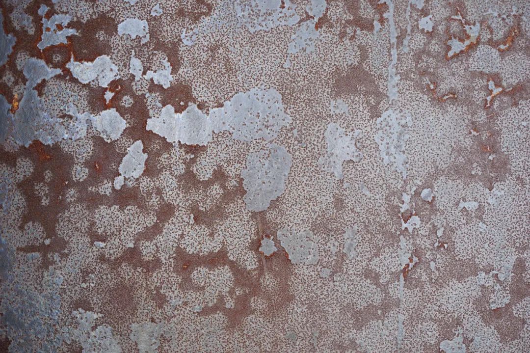 科学实验食品袋上的秘密,科学原理一点通官网