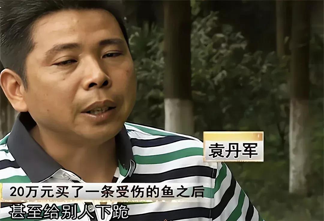 男子20万买一条半死不活的鱼,小伙花800元买一条蓝色大鱼