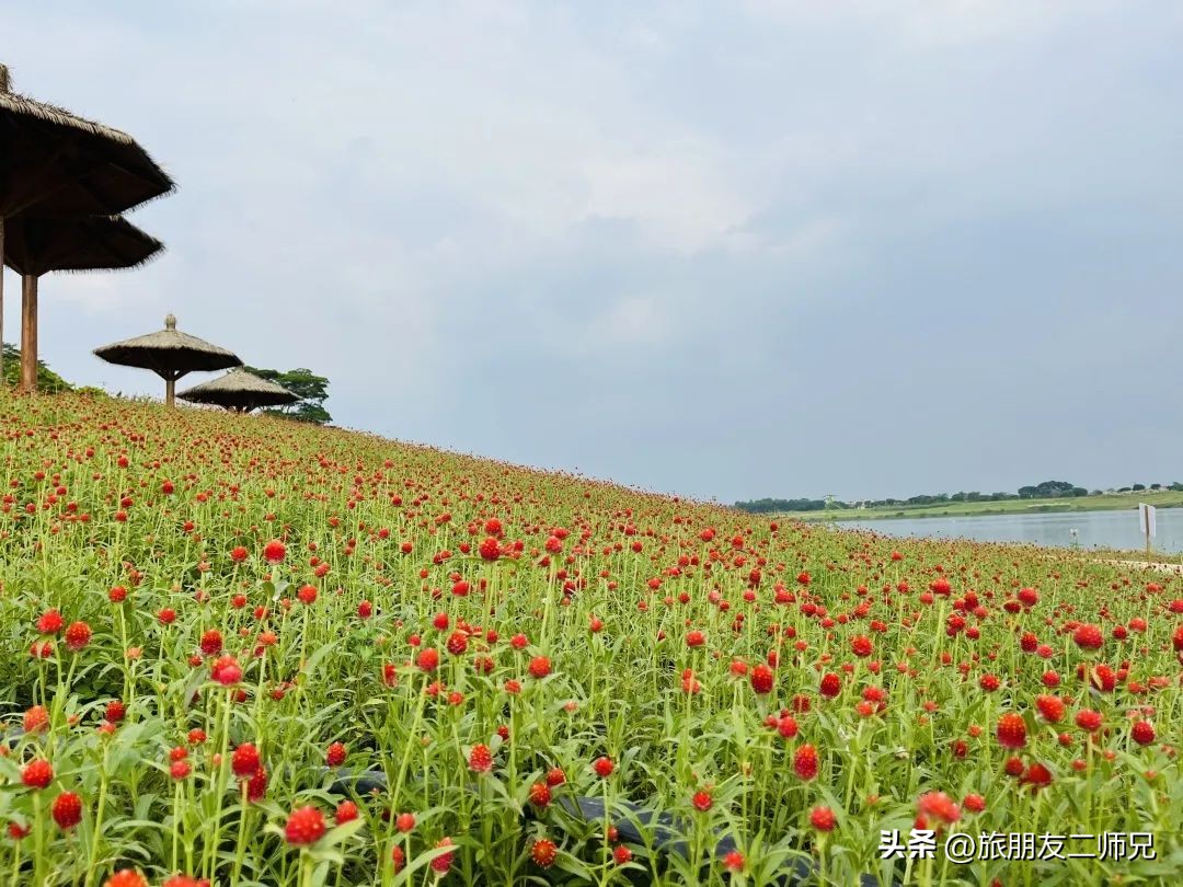 佛山三水白坭附近的旅游景点,佛山三水出发黄姚古镇旅游攻略