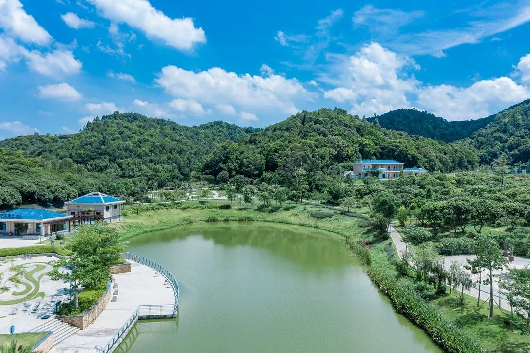 深圳旅游全攻略宝安,宝安旅游线路推荐