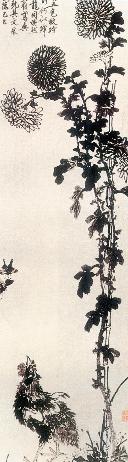 每周一堂美育课|《花中君子——菊》