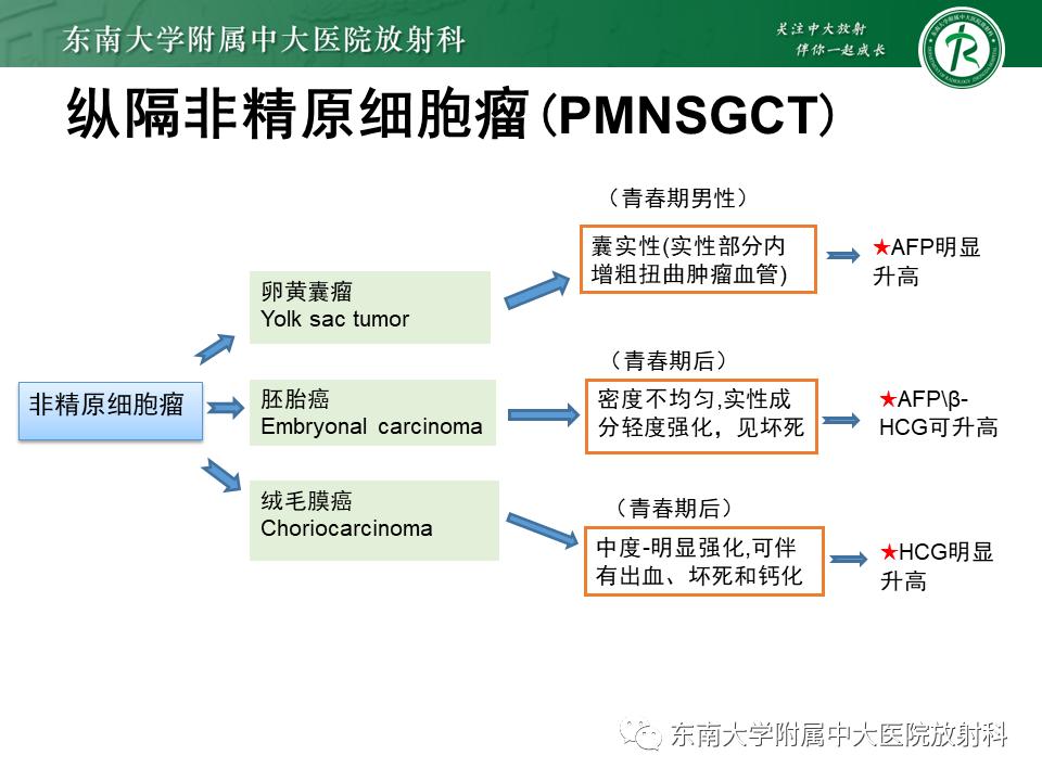 好文分享值得深思,纵隔精原细胞瘤