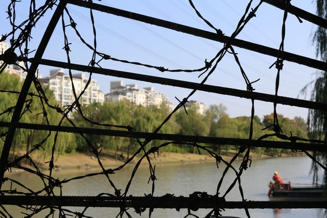 想复婚没门,想复婚没门全文在线阅读