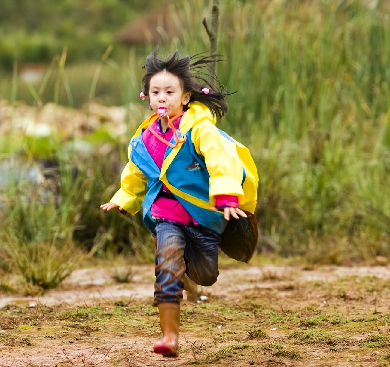 爸爸去哪儿12岁康康身高,爸爸去哪儿第一季石头天天