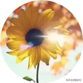 怎么做好小微贷款业务,在小贷公司工作风险