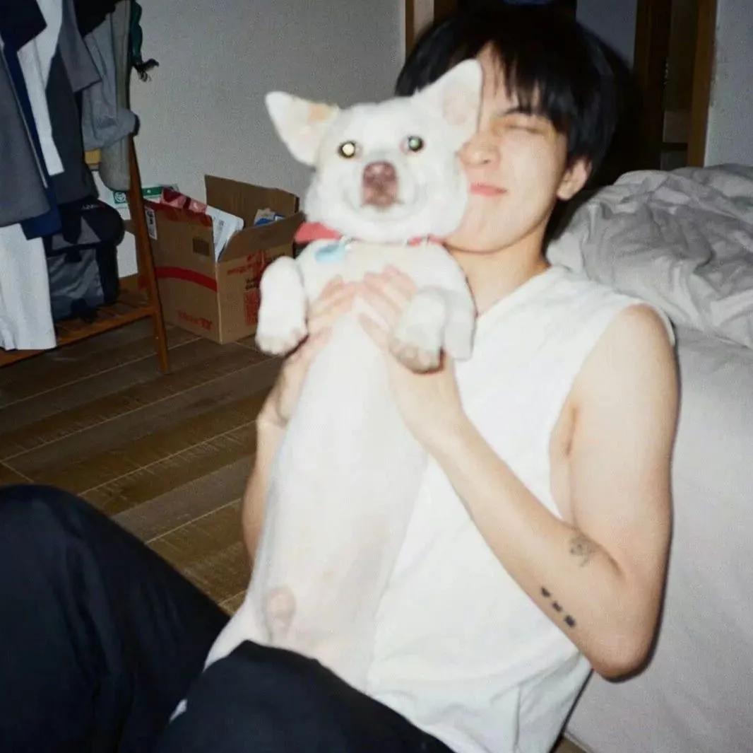 超好看的男生头像,超好看的男生头像漫画