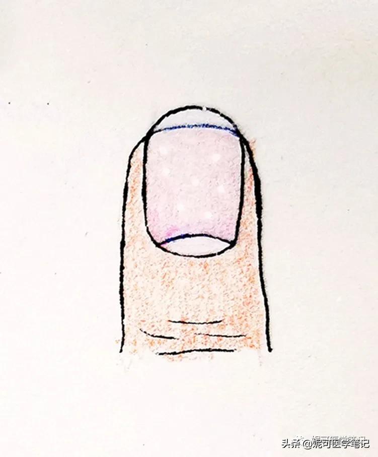 进行手部指甲养护的步骤,手部理疗和指甲护理