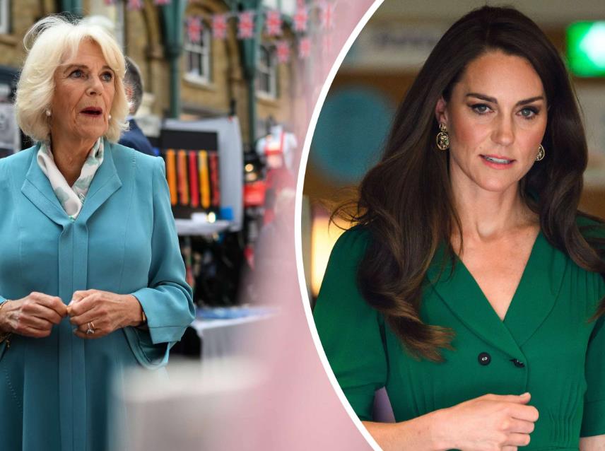 王室屈膝礼凯特卡米拉,英王室为什么不接受卡米拉