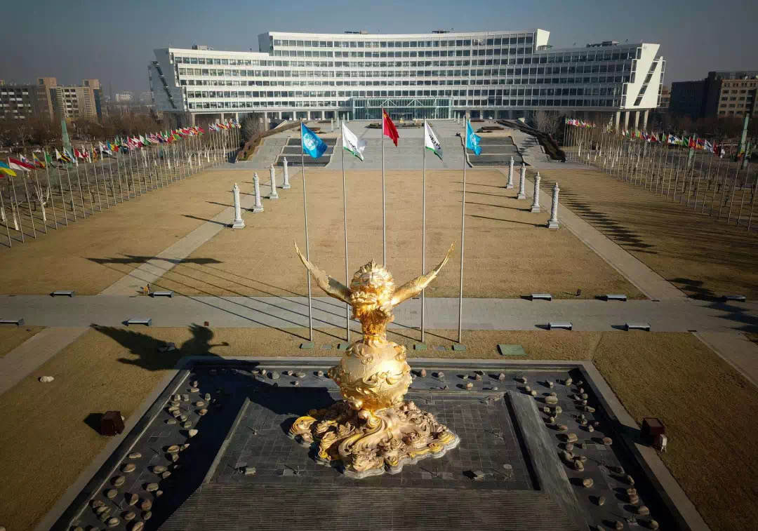 天津首富：24岁成大老板，家产400亿，给员工送宝马、飞机