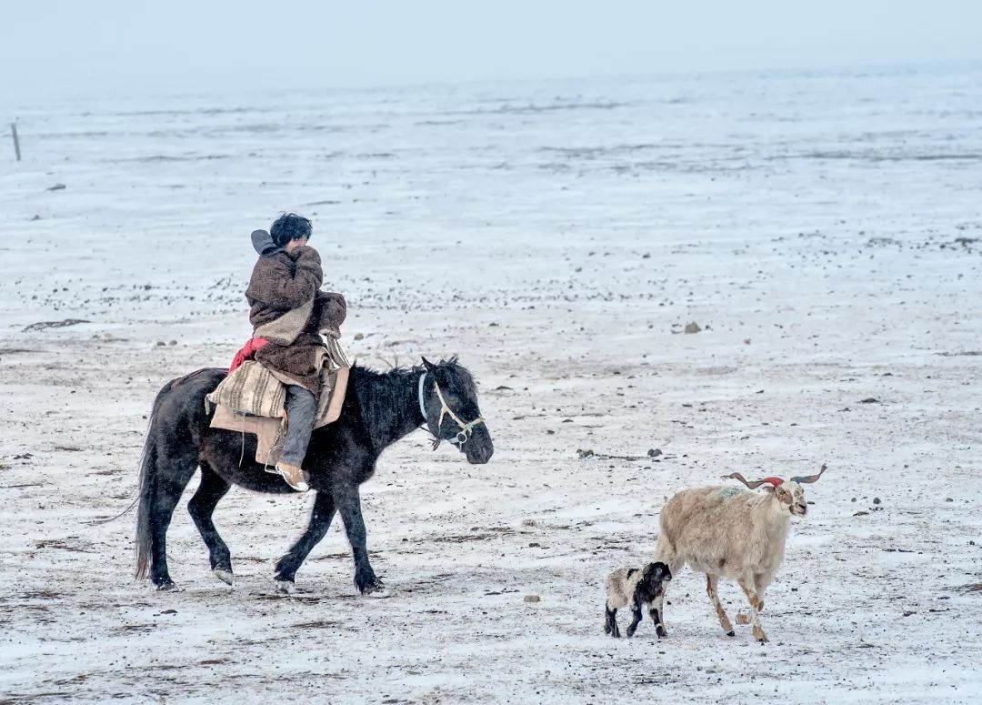 川西阿坝旅游详细攻略地图,川西阿坝旅游攻略三天