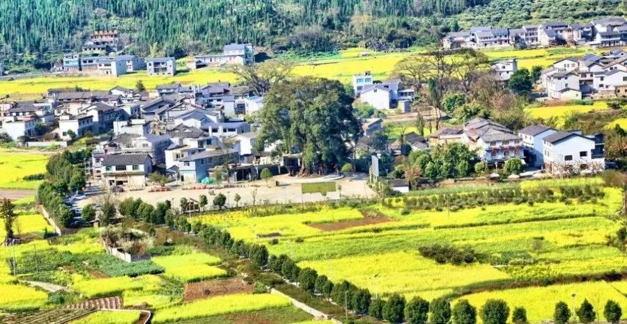 贵州足球在哪里比赛,足球开球贵州人