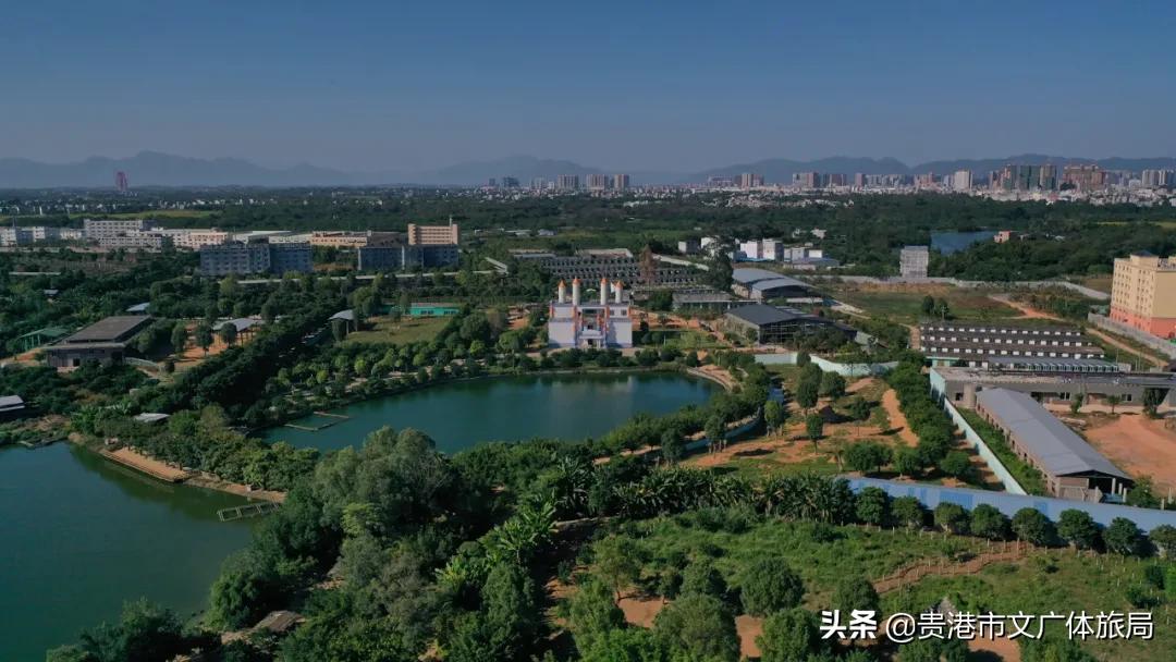 贵港一日游,贵港市区一夜游攻略