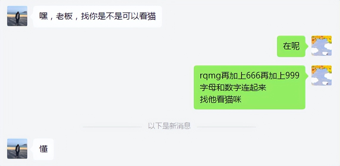 猫咪一手货源批发,广东自家养猫咪出售