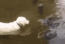 想问这姑娘衣服在哪买的,会不会挨揍?亮点