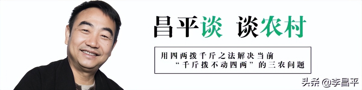 李昌平：乡村振兴关键靠发展产业？