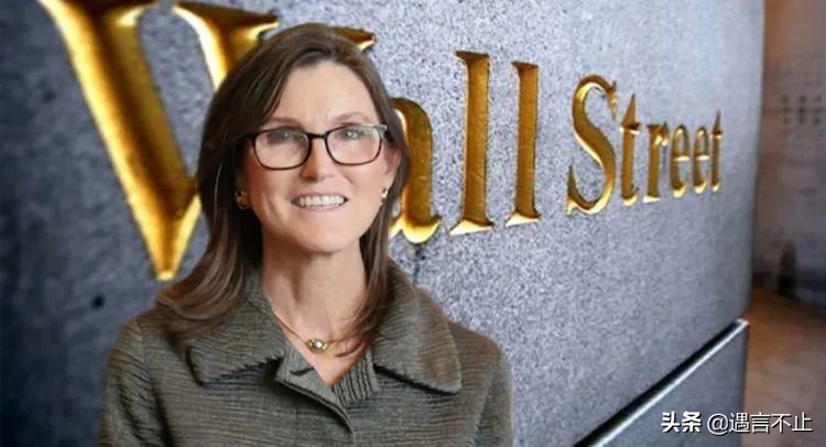 57岁封神，65岁翻车，女股神木头姐是被风吹上天的猪？