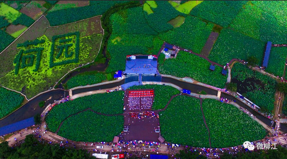 柳江的美景,想要诗和远方又不想离家