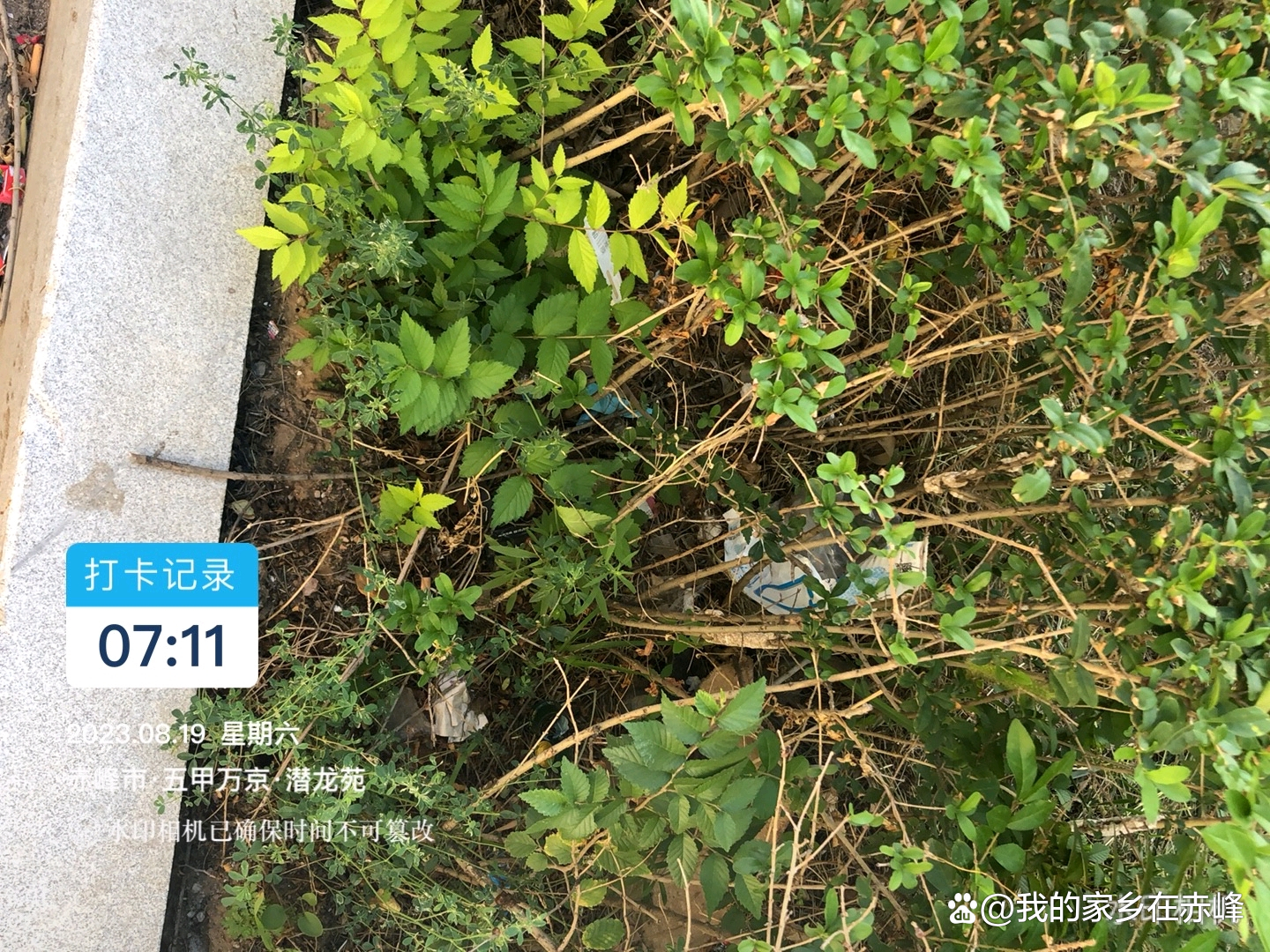 赤峰五甲万京现状,赤峰五甲万京咋样了