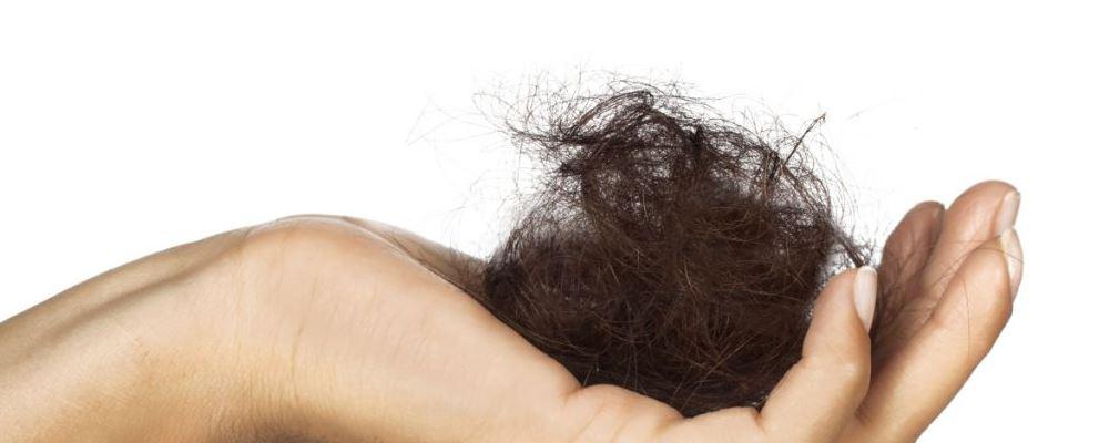 十大补肾药为何设立六味地黄丸,中医补肾六味地黄丸不能乱吃