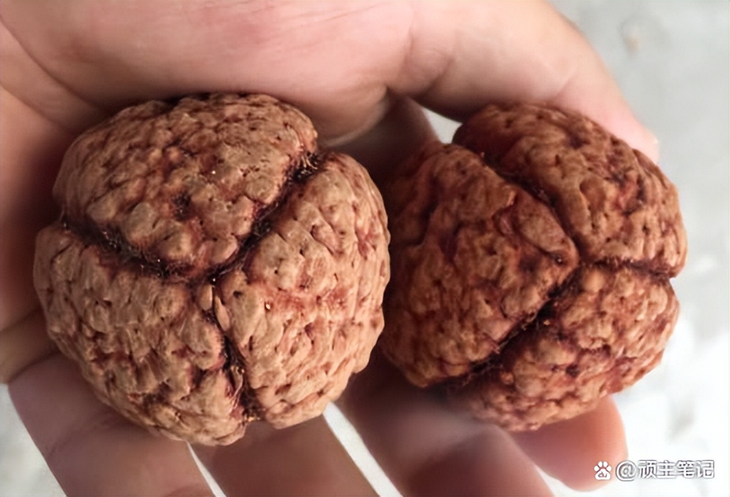 怎么区分落地红和金刚的区别,落地红和金刚的对比照片