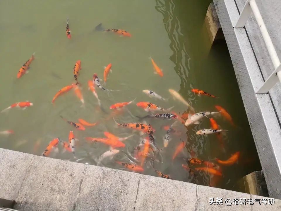 国网哪个地方好进,最容易上岸的省份和地区