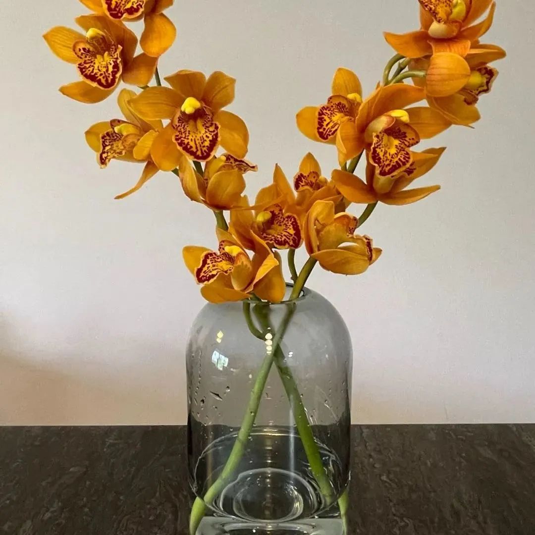 鲜花在水里能养几天会死,新加坡盆栽花卉怎么养