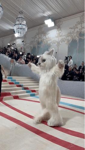 metgala最糟糕造型,metgala时装秀是什么