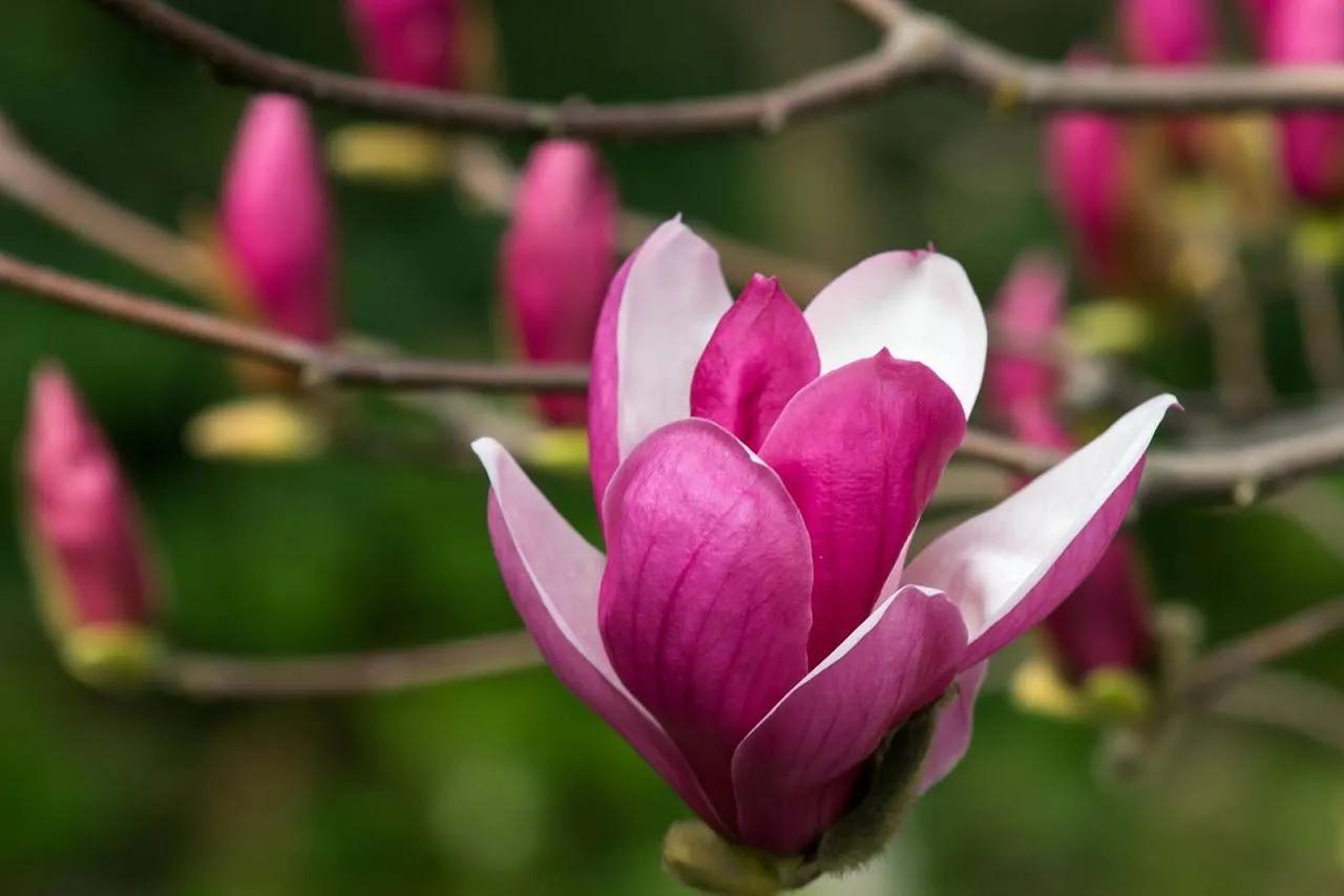 七年之痒短片,七年之痒短篇小说