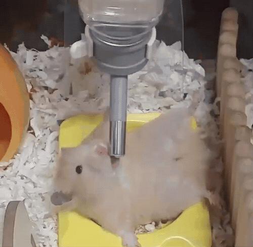 沙雕搞笑表情包头像,沙雕搞笑表情包图片静图