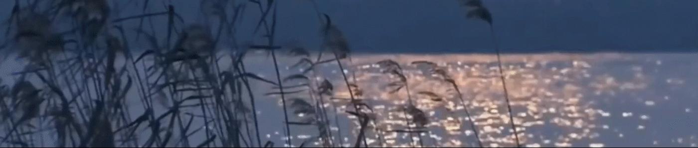 拳击手洛奇深度解析,洛奇拳击励志视频