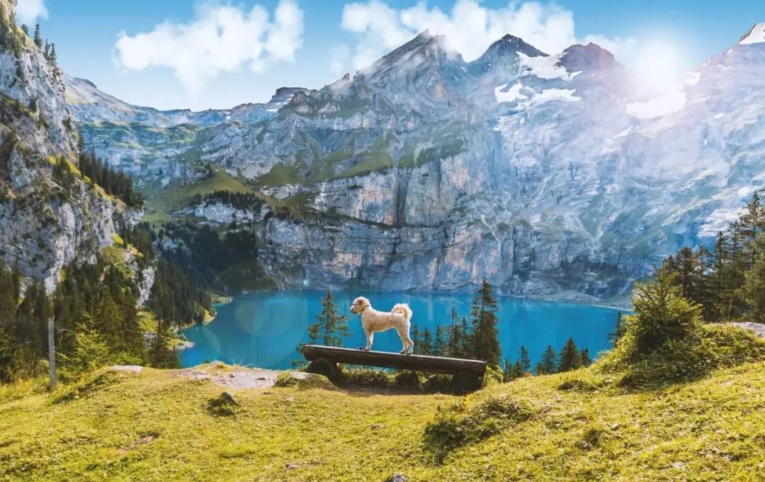 白手起家的亿万富翁小故事,富翁白手起家的故事