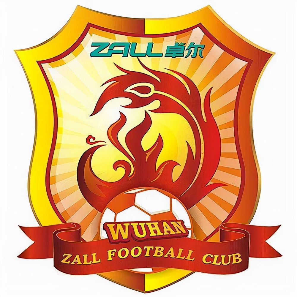 武汉双雄中超,武汉两支中超球队