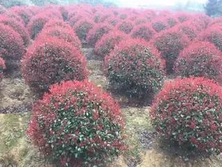 53岁做点什么小生意,53岁在家创业干什么好