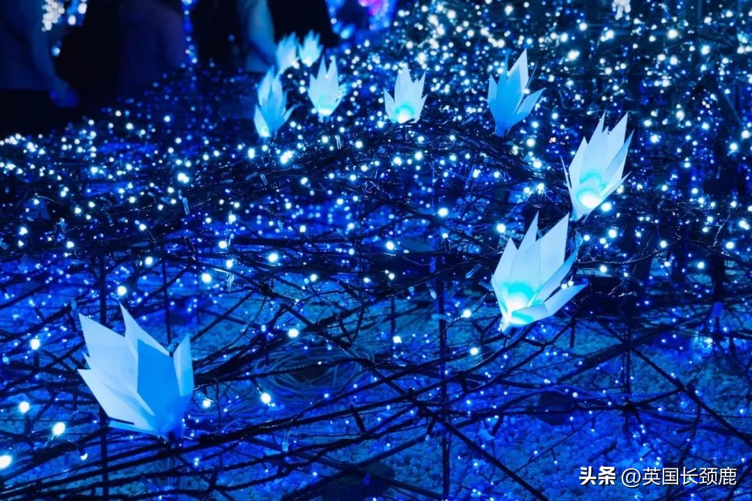 圣诞节在欧洲旅行怎么过,圣诞节在欧洲旅游攻略