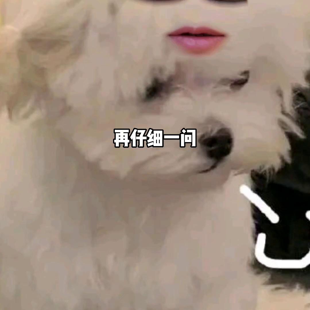 医保异地就医备案后怎样转回本地,异地就医备案是就医前还是就医后