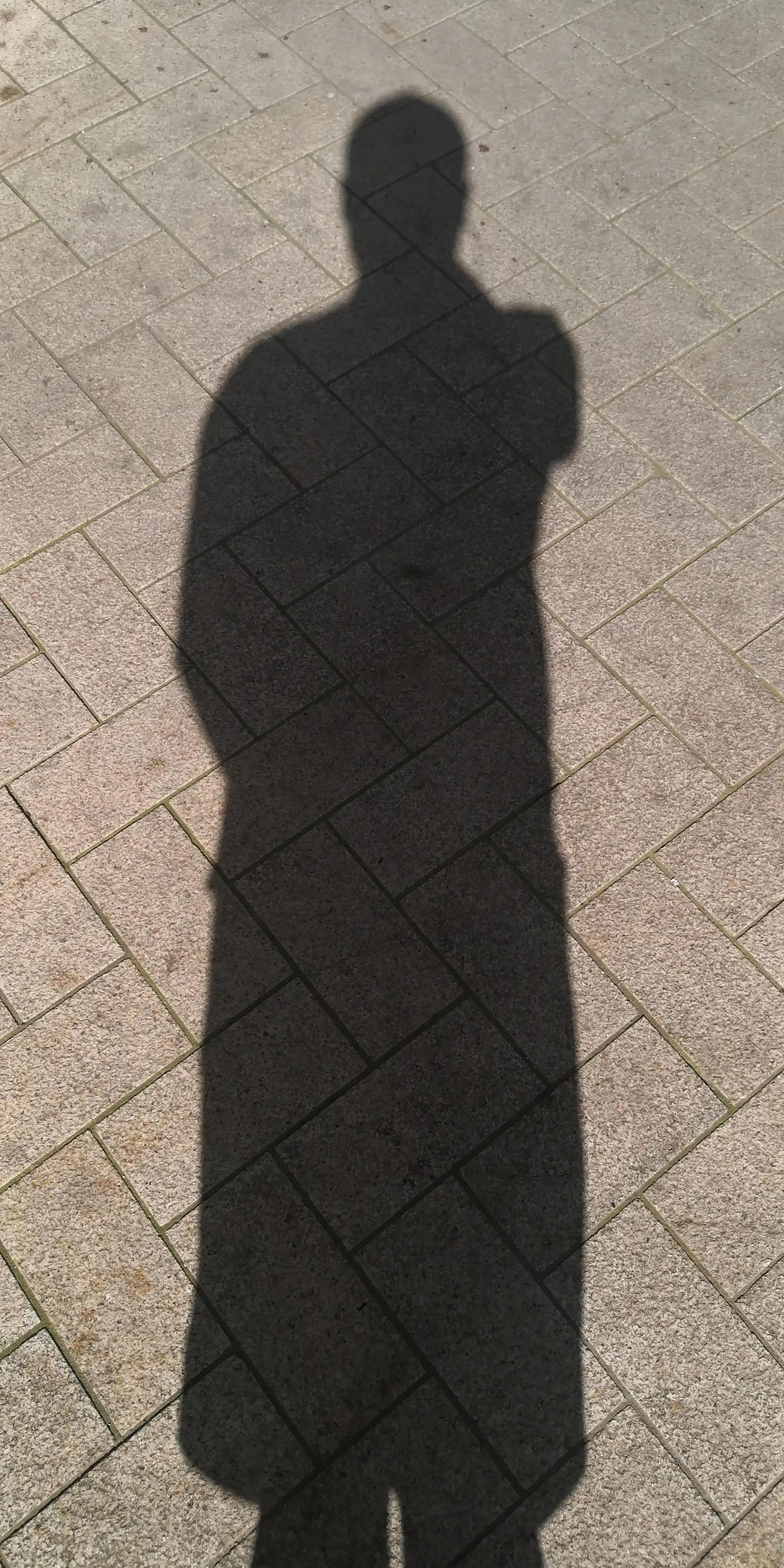 三体人是章鱼吗,三体人指的是哪三体