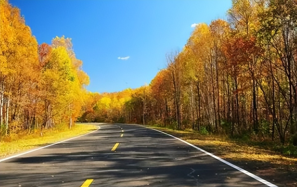 2022年农历十月一日是几月几号,2022年元月一日农历是初一吗